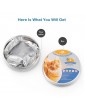 Flea & Tick Protective Collar for Cats 13 inches